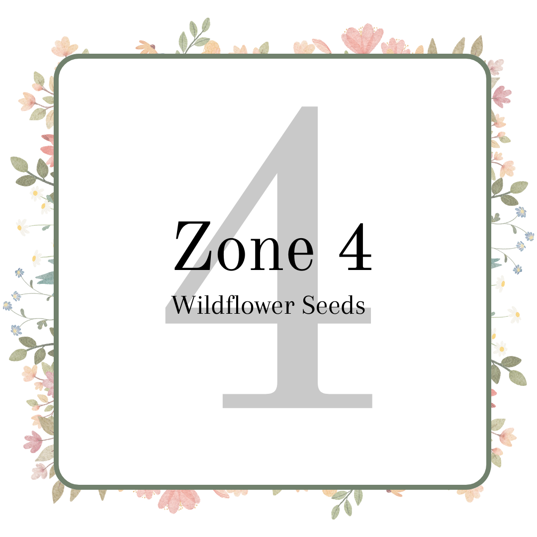 Zone 4 Wildflower Seeds Nature's Garden Seed Company