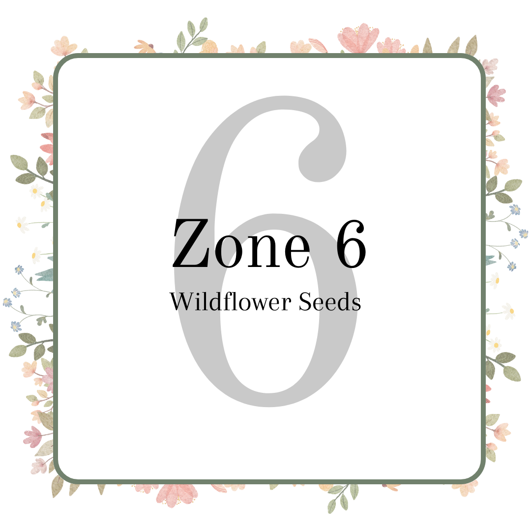 Zone 6 Wildflower Seeds Nature's Garden Seed Company
