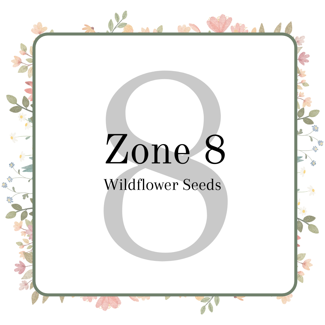 Zone 8 Wildflower Seeds Nature's Garden Seed Company