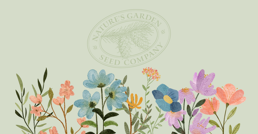 Nature's Garden Hero Banner with Flowers and Transparent Logo