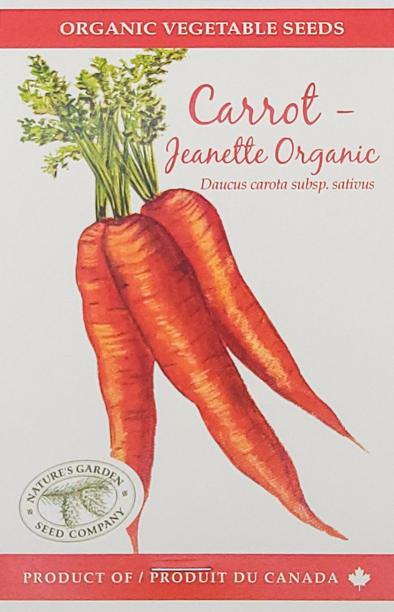 Organic Carrot Vegetable Seeds Nature's Garden Seed Company