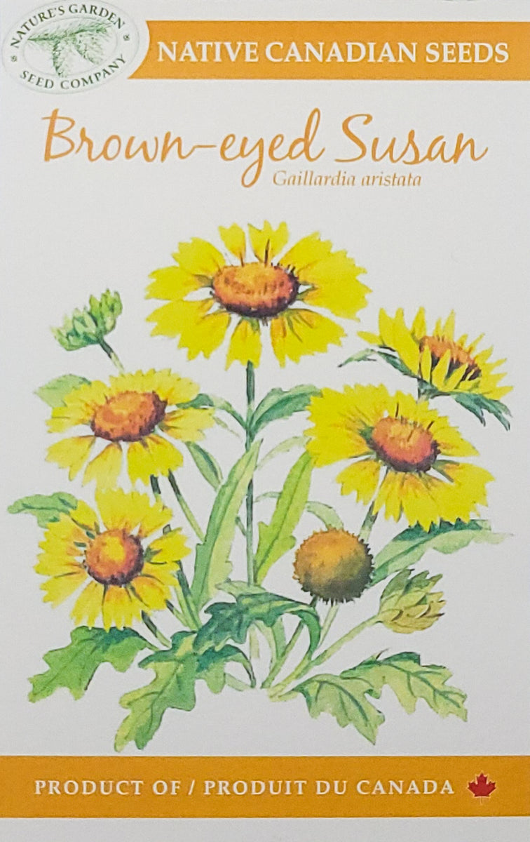 Browneyed Susan Wildflower Seeds Nature's Garden Seed Company