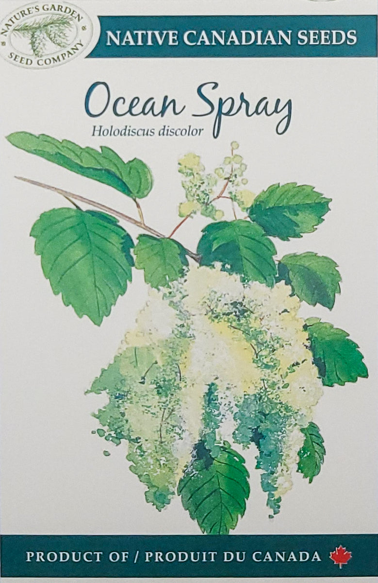spray garden seed Ocean Spray Wildflower Seeds – Nature's Garden Seed Company