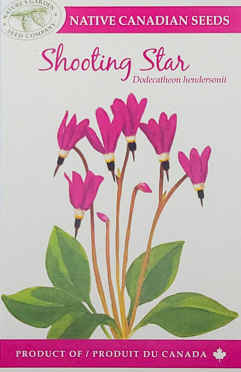 Shooting Star Wildflower Seeds Nature's Garden Seed Company