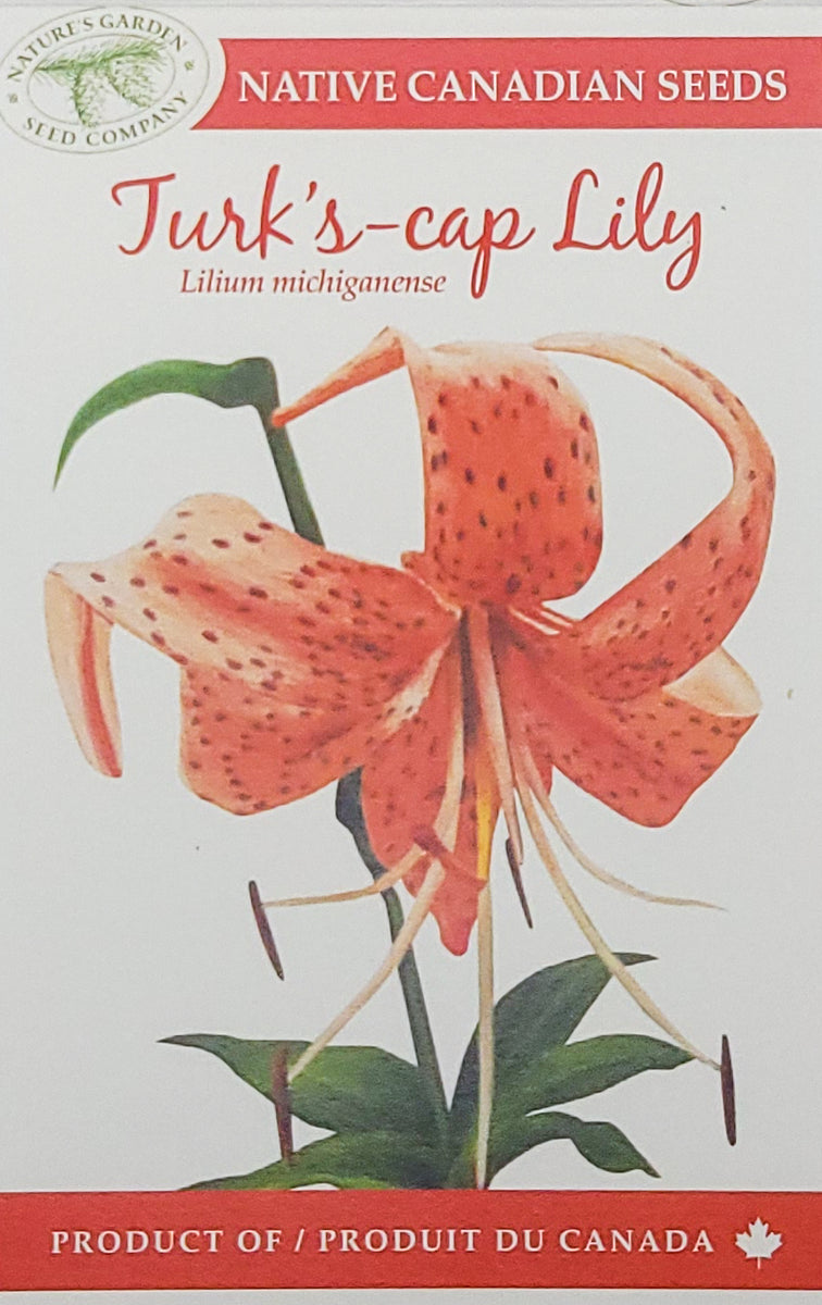 plant seeds cap Turk's-cap Lily Wildflower Seeds – Nature's Garden Seed Company