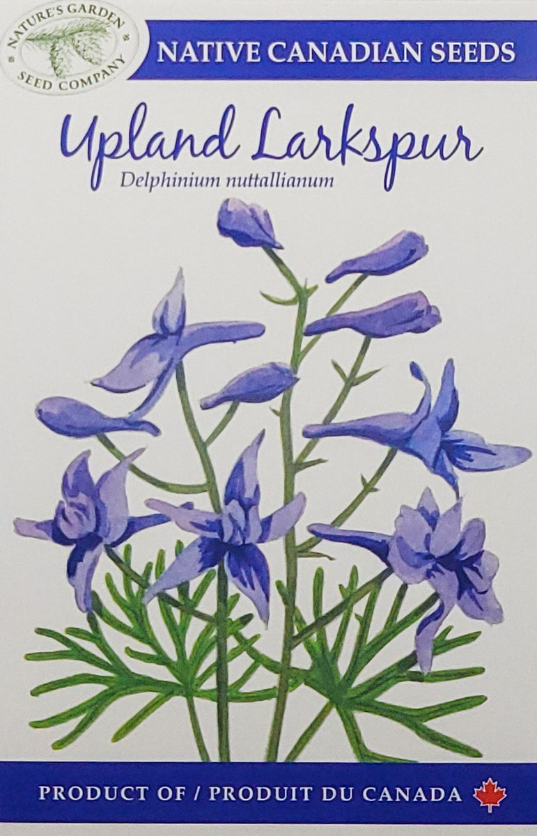 larkspur flower seeds Upland Larkspur Wildflower Seeds – Nature's Garden Seed Company