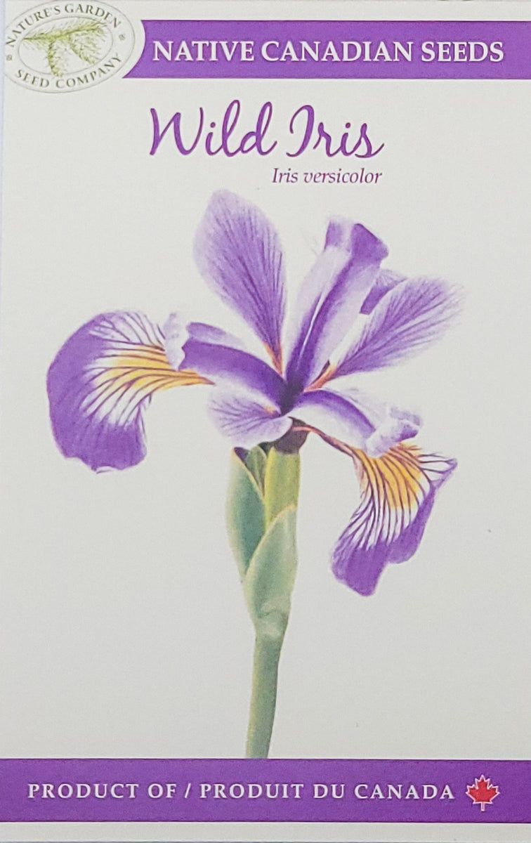 Wild Iris Wildflower Seeds Nature's Garden Seed Company
