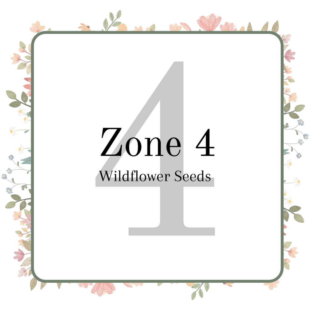 An image with text stating Zone 4 Wildflower Seeds