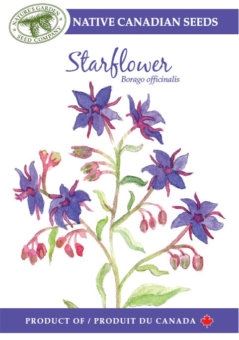canadian garden seeds Starflower Wildflower Seeds