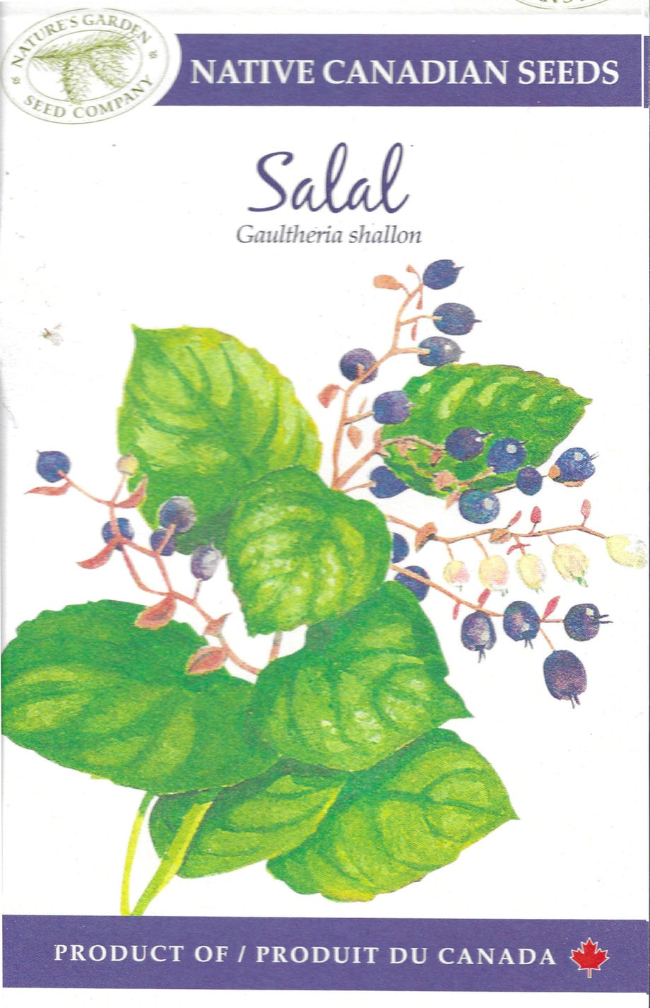 natures garden seed company Salal Wildflower Seeds – Nature's Garden Seed Company
