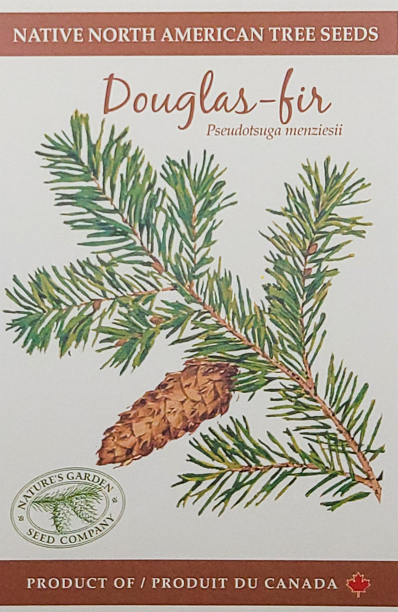 Douglasfir Tree Seeds Nature's Garden Seed Company