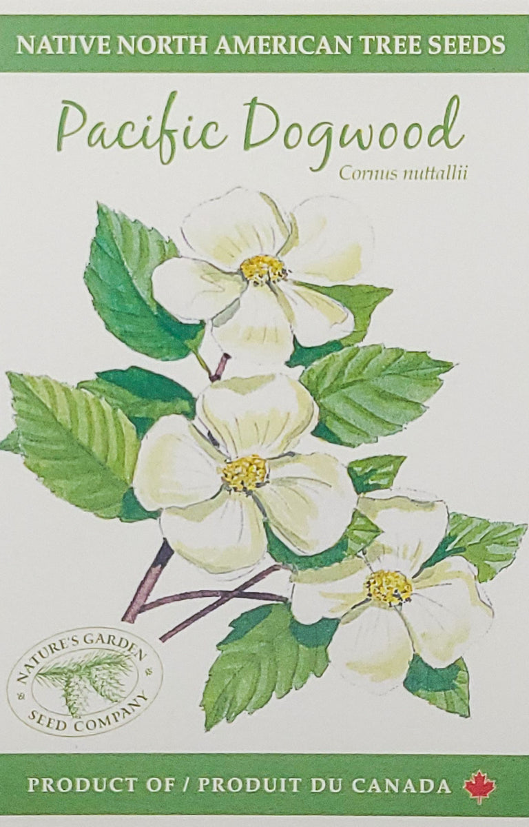 Pacific Dogwood Tree Seeds Nature's Garden Seed Company