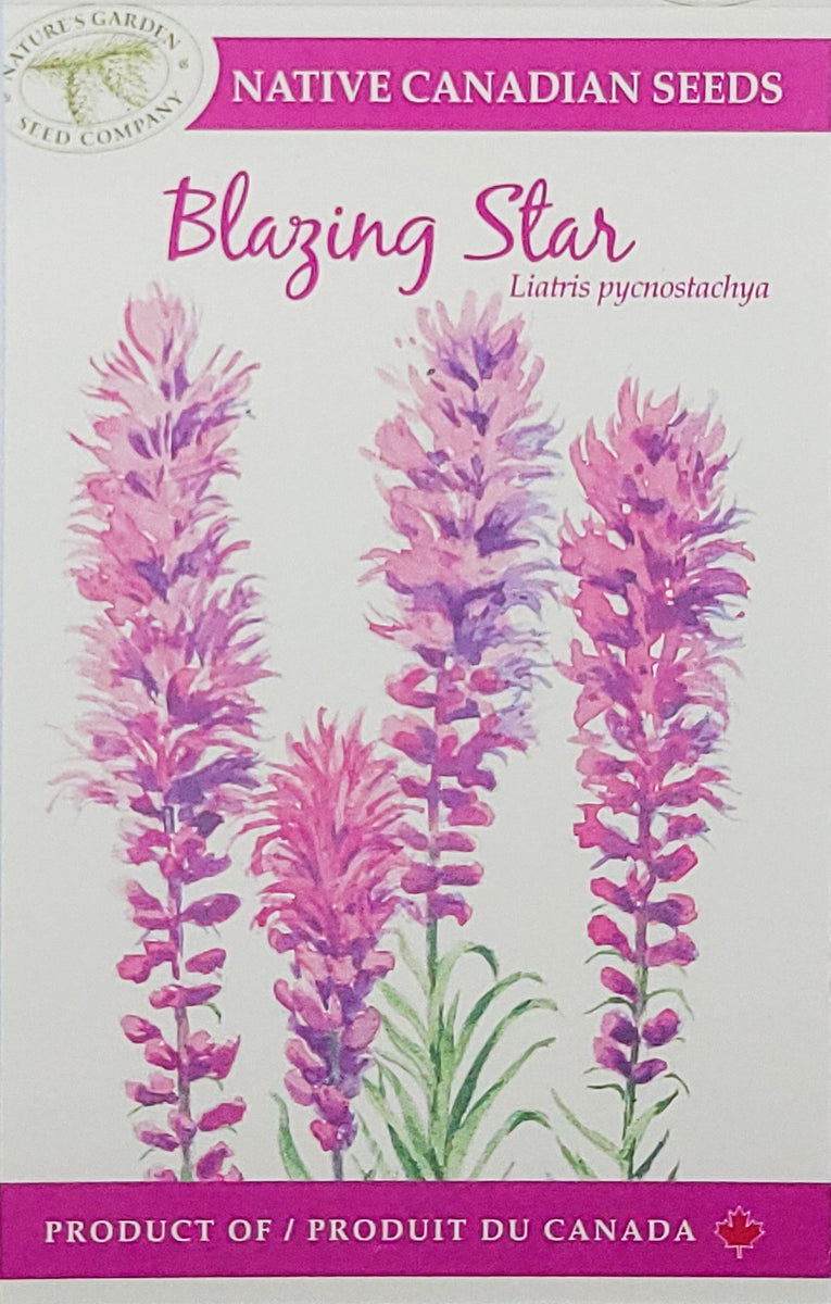 Blazing Star Wildflower Seeds Nature's Garden Seed Company