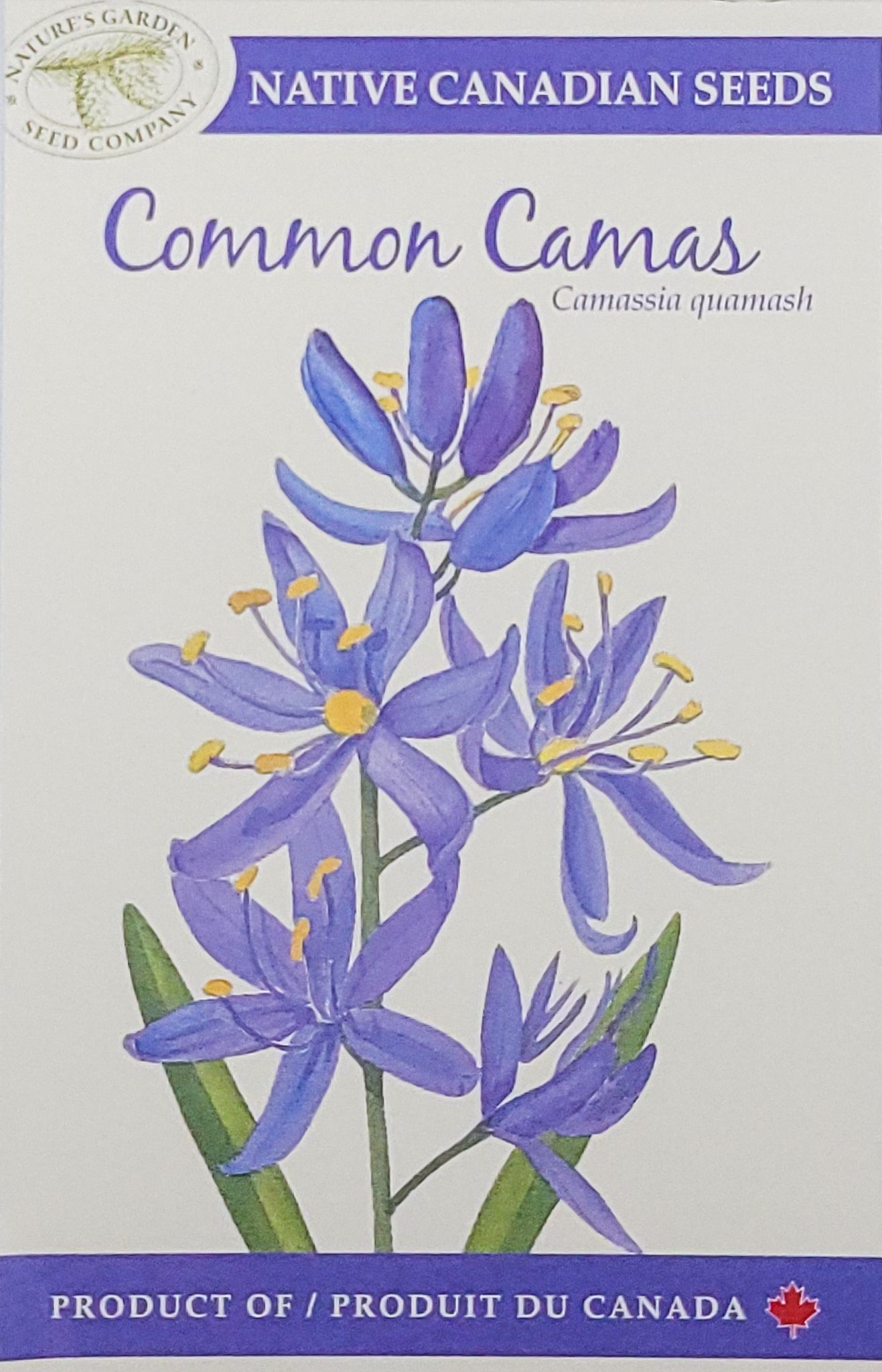 common wildflower seeds Common Camas Wildflower Seeds – Nature's Garden Seed Company