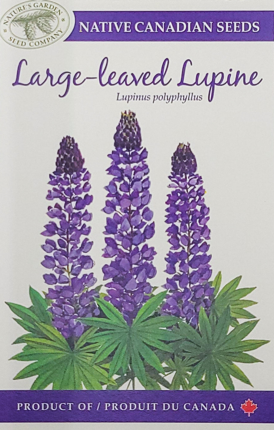 lupine wildflower seeds Large-leaved Lupine Wildflower Seeds – Nature's Garden Seed Company