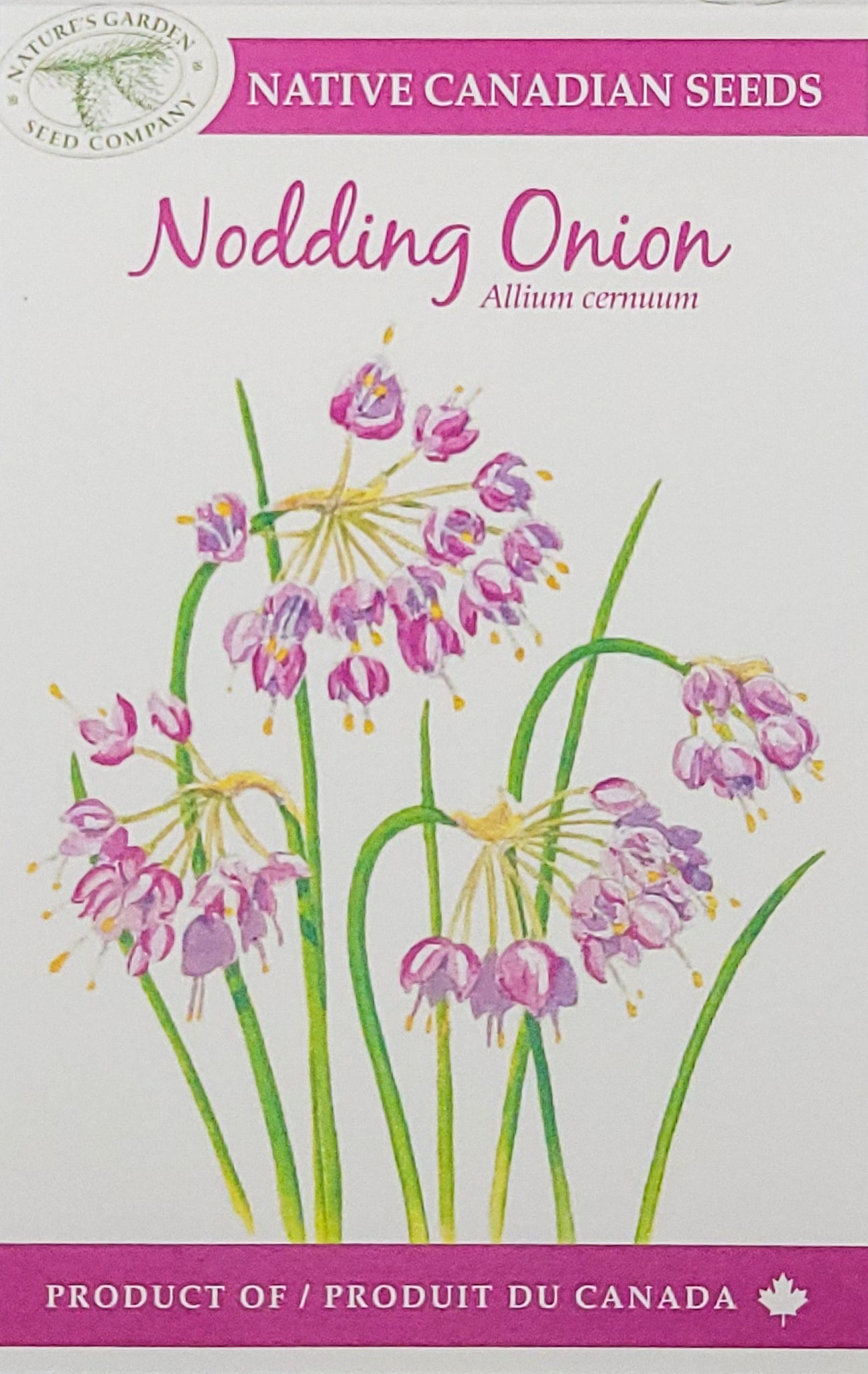 nature's garden seed company Nodding Onion Wildflower Seeds – Nature's Garden Seed Company