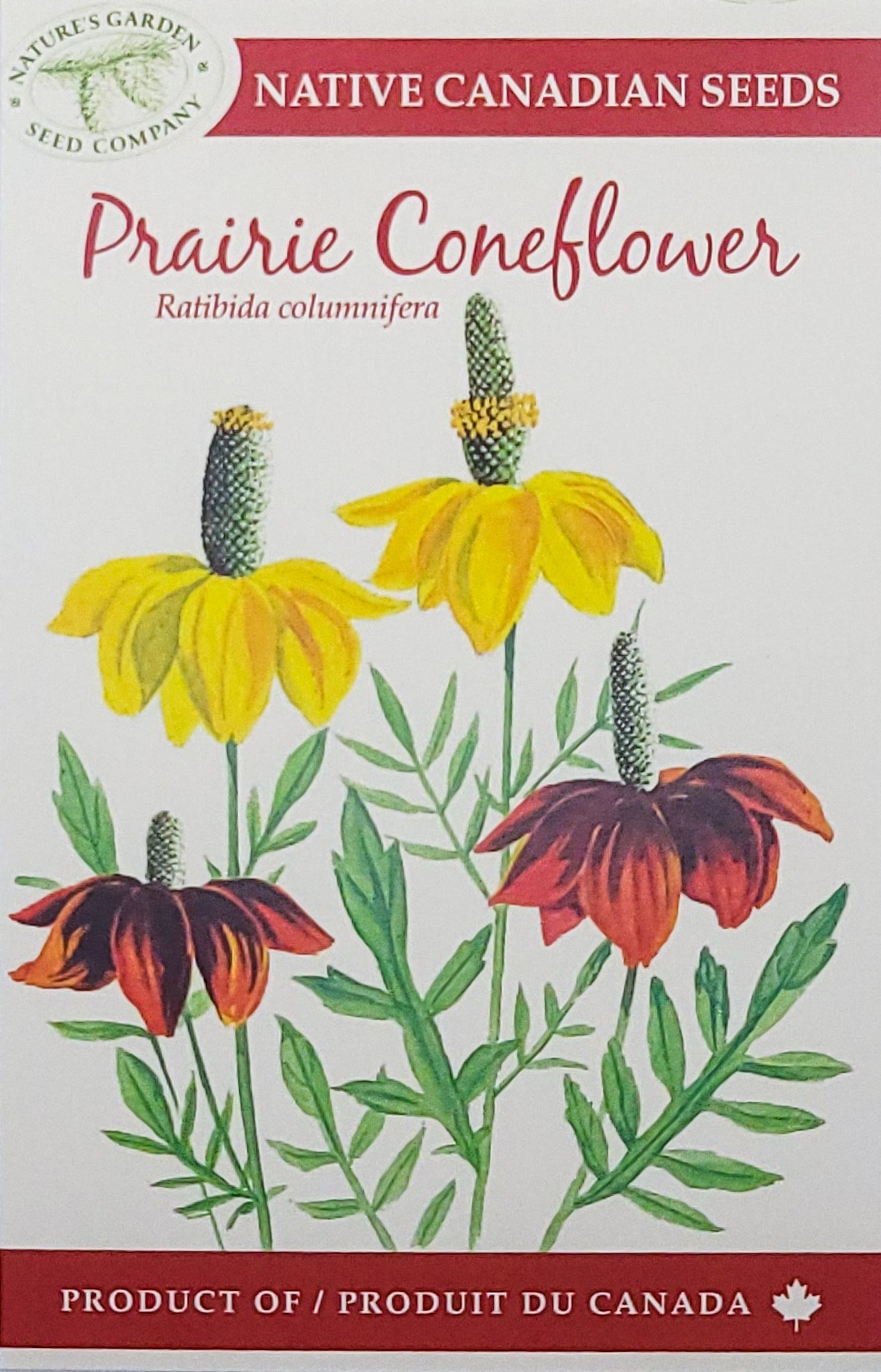 canadian flower seed companies Prairie Coneflower Wildflower Seeds – Nature's Garden Seed Company