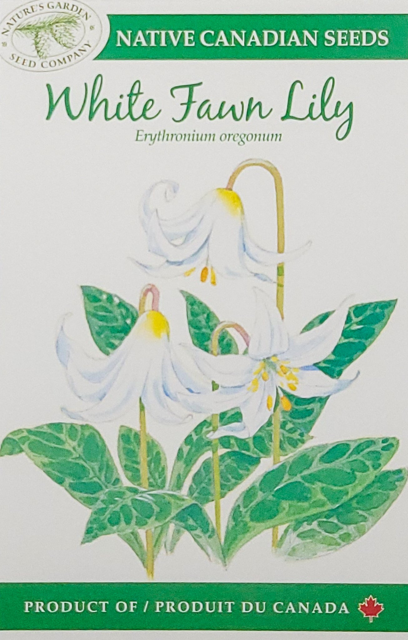white lily seeds osrs White Fawn Lily Wildflower Seeds – Nature's Garden Seed Company
