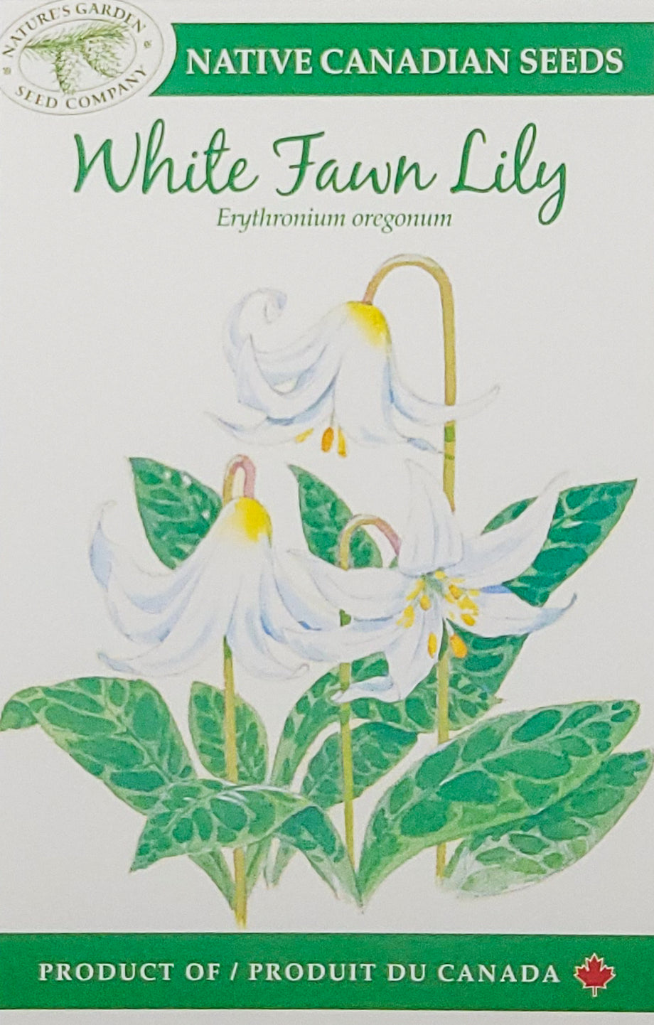 white lily seed White Fawn Lily Wildflower Seeds – Nature's Garden Seed Company