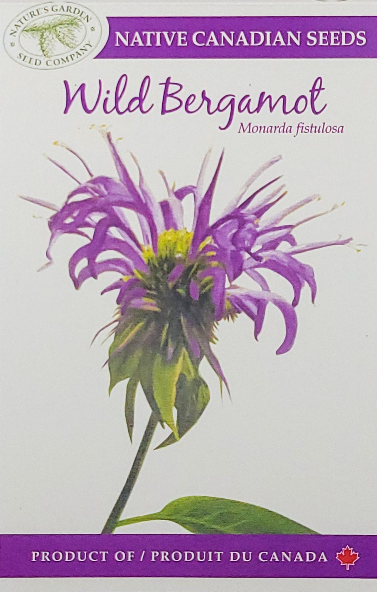 bergamot flower seeds Wild Bergamot Wildflower Seeds – Nature's Garden Seed Company
